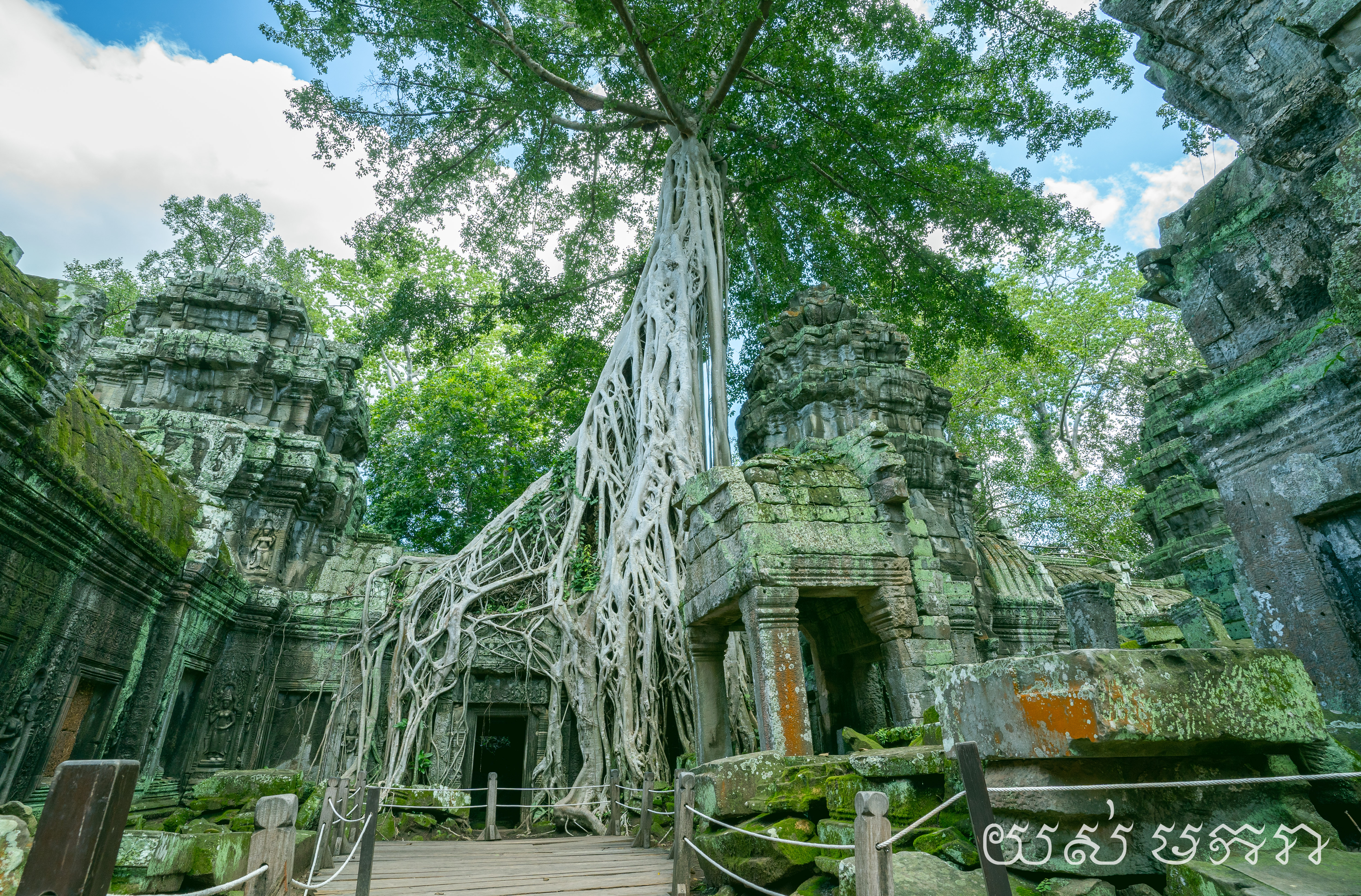 Ta Phrom Temple